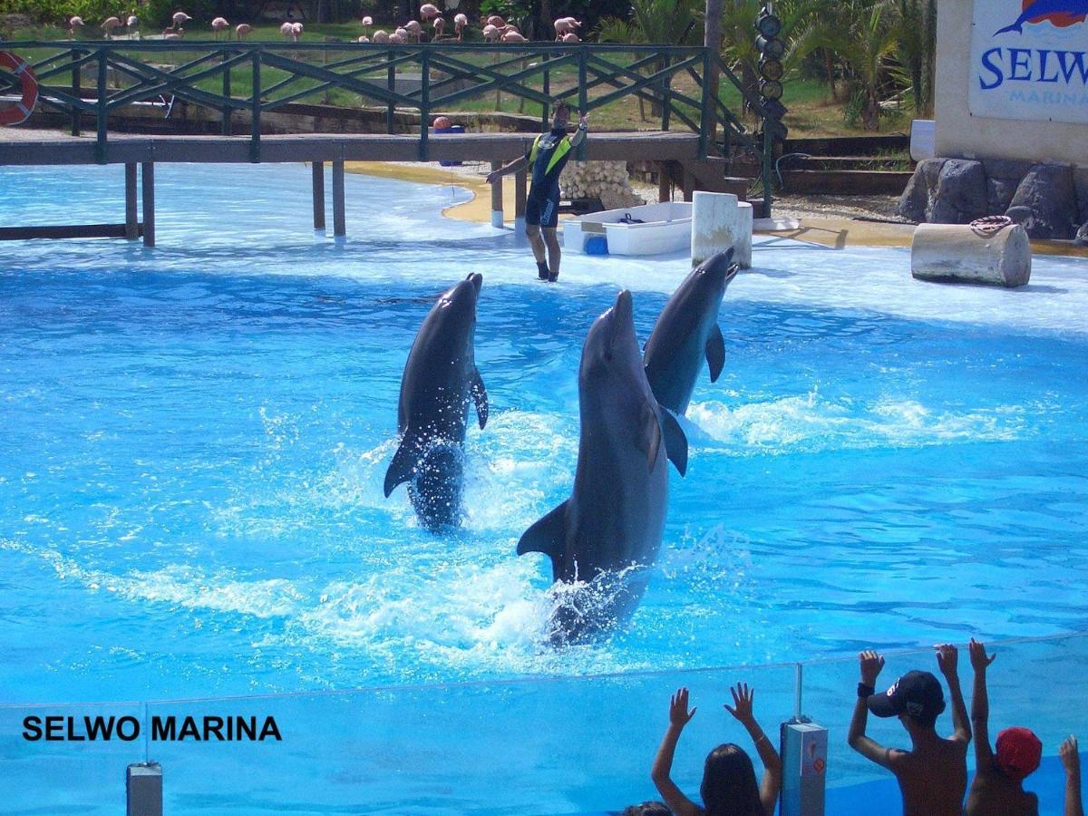 Apartamento Estudio Júpiter Benalmádena Cerca Playa Exterior foto