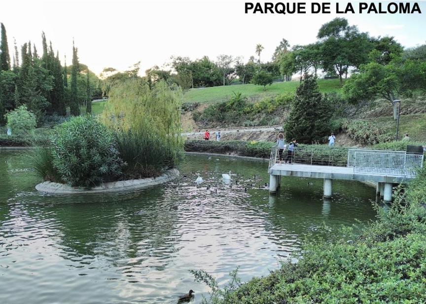 Apartamento Estudio Júpiter Benalmádena Cerca Playa Exterior foto